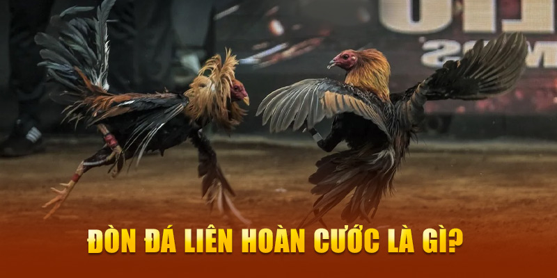 Đòn đá liên hoàn cước là gì?