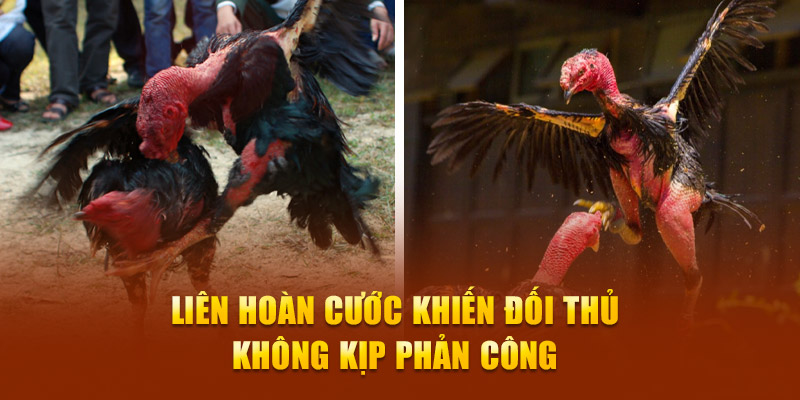 Liên hoàn cước khiến đối thủ không kịp phản công