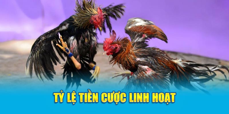 Tỷ lệ tiền cược linh hoạt