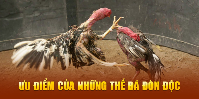 Ưu điểm của những thế đá đòn độc