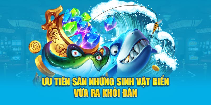 Ưu tiên săn những sinh vật biển vừa ra khỏi đàn